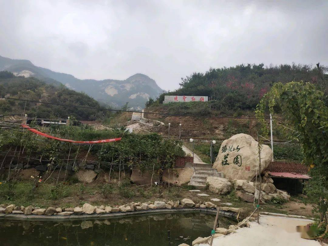 卡通小车找不同